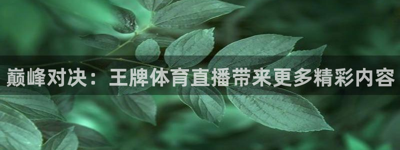 乐球直播免费版观看：巅峰对决：王牌体育直播带来更多精彩内容