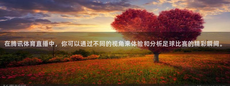 乐球吧直播nba：在腾讯体育直播中，你可以通过不同的视角来体验和分析足球比赛的精彩瞬间。