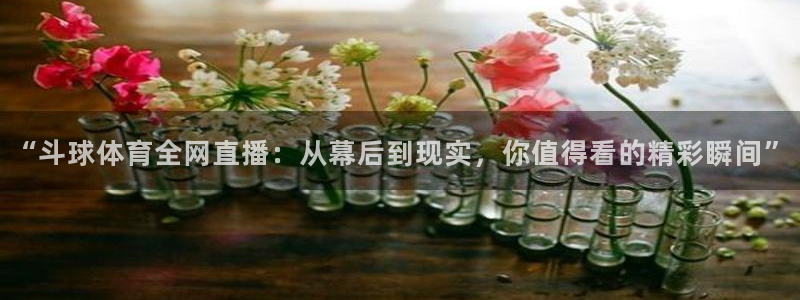 乐球直播免费高清观看法乙：“斗球体育全网直播：从幕后到现实，你值得看的精彩瞬间”