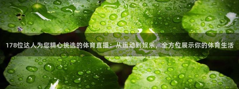 乐球体育直播免费观看：178位达人为您精心挑选的体育直播：从运动到娱乐，全方位展示你的体育生活
