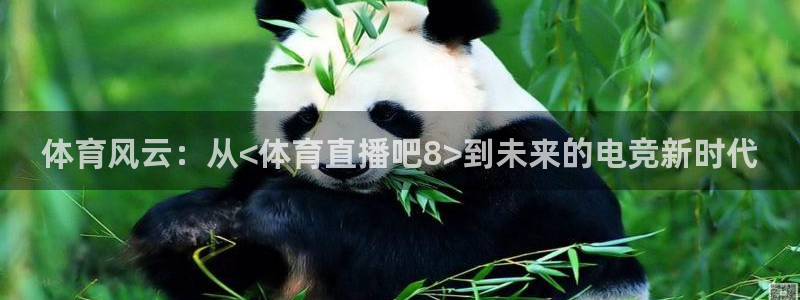 乐球体育直播在线观看：体育风云：从<体育直播吧8>到未来的电竞新时代