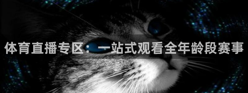 乐球体育足球在线直播免费观看：体育直播专区：一站式观看全年龄段赛事