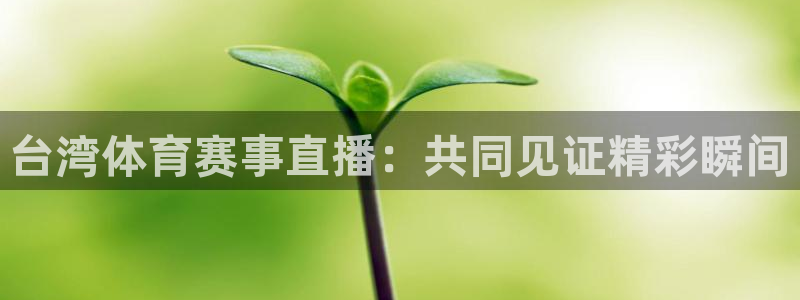 乐球直播地址：台湾体育赛事直播：共同见证精彩瞬间