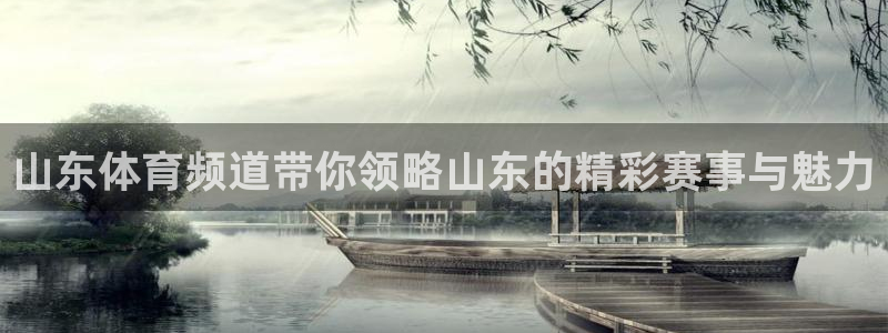 乐球直播app在线直播：山东体育频道带你领略山东的精彩赛事与魅力