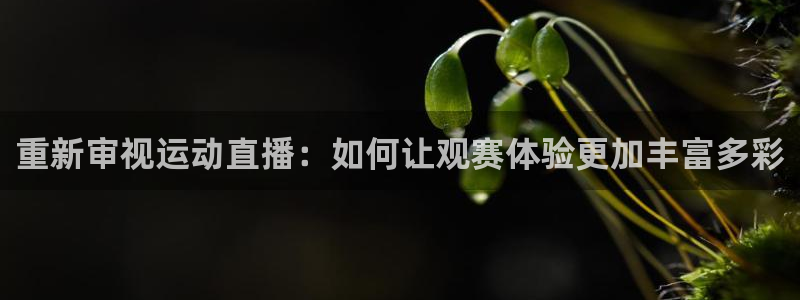 乐球直播无插件在线观看：重新审视运动直播：如何让观赛体验更加丰富多彩