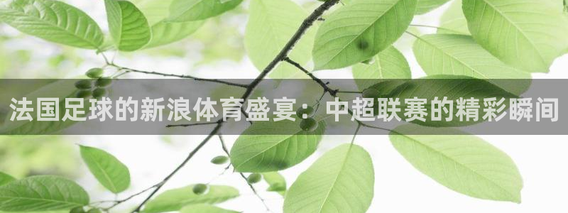 乐球足球免费直播：法国足球的新浪体育盛宴：中超联赛的精彩瞬间