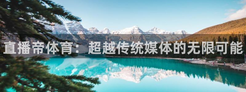 乐球直播(无插件)足球：直播帝体育：超越传统媒体的无限可能