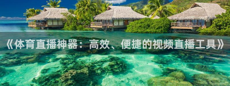 乐球体育足球直播：《体育直播神器：高效、便捷的视频直播工具》